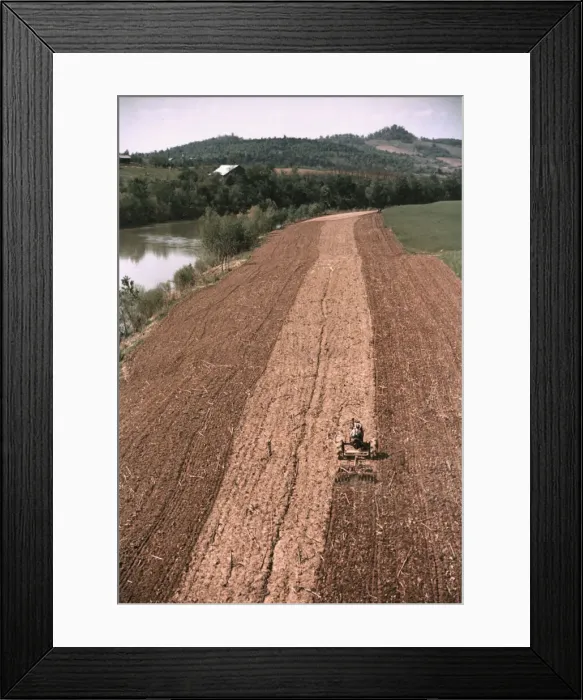 Framed Print : Planting corn along a river in Tennessee, 1940. Creator: Marion Post Wolcott Framed Print : Planting corn along a river in Tennessee, 1940. Creator: Marion Post Wolcott