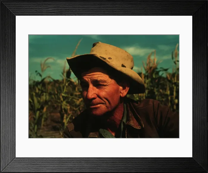 Framed Print : Jim Norris, homesteader, Pie Town, New Mexico, 1940. Creator: Russell Lee Framed Print : Jim Norris, homesteader, Pie Town, New Mexico, 1940. Creator: Russell Lee
