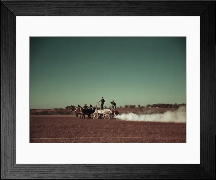 Framed Print : Spreading fertilizer from 4-mule team wagon, Georgia, ca. 1940. Creator: Marion Post Wolcott Framed Print : Spreading fertilizer from 4-mule team wagon, Georgia, ca. 1940. Creator: Marion Post Wolcott