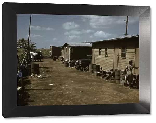 Houses which have been condemned by the Board of Health... Belle Glade, Fla. 1941. Creator: Marion Post Wolcott