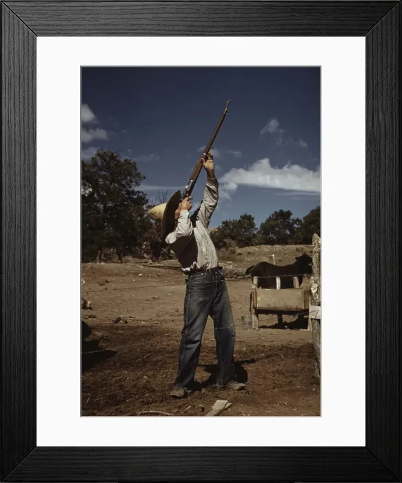 Framed Print : Mr. Leatherman, homesteader, shooting hawks... Pie Town, New Mexico, 1940. Creator: Russell Lee Framed Print : Mr. Leatherman, homesteader, shooting hawks... Pie Town, New Mexico, 1940. Creator: Russell Lee