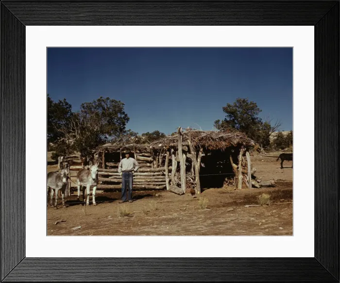 Framed Print : Mr. Leatherman, homesteader, with his work burros in front of his barn, Pie Town, New Mexico, 1940. Creator: Russell Lee Framed Print : Mr. Leatherman, homesteader, with his work burros in front of his barn, Pie Town, New Mexico, 1940. Creator: Russell Lee