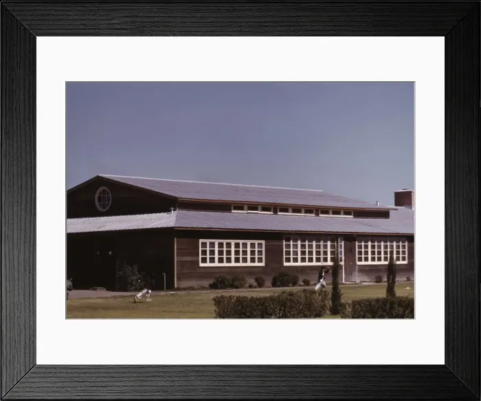Framed Print : Boys flying a kite in front of the community center, FSA camp, Robstown, Tex. 1942. Creator: Arthur Rothstein Framed Print : Boys flying a kite in front of the community center, FSA camp, Robstown, Tex. 1942. Creator: Arthur Rothstein