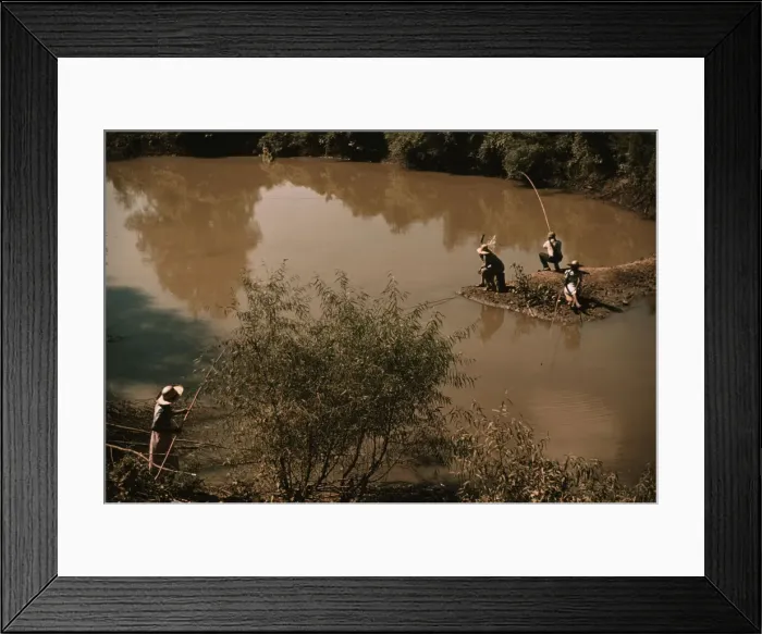 Framed Print : Negroes fishing in creek near cotton plantations outside Belzoni, Miss. 1939. Creator: Marion Post Wolcott Framed Print : Negroes fishing in creek near cotton plantations outside Belzoni, Miss. 1939. Creator: Marion Post Wolcott
