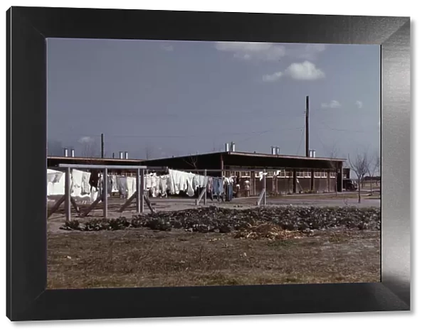 Community clothesline, FSA... camp, Robstown, Tex. 1942. Creator: Arthur Rothstein