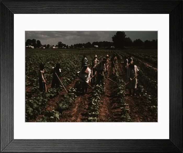 Framed Print : Bayou Bourbeau plantation operated by Bayou Bourbeau Farmstead Assoc... Natchitoches, La. 1940. Creator: Marion Post Wolcott Framed Print : Bayou Bourbeau plantation operated by Bayou Bourbeau Farmstead Assoc... Natchitoches, La. 1940. Creator: Marion Post Wolcott