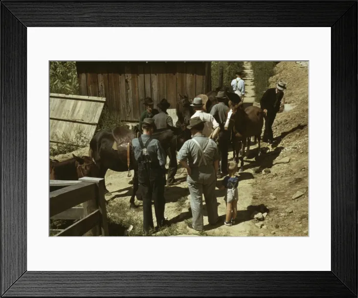 Framed Print : Mountaineers and farmers trading mules and horses on Jockey St. Campton, Wolfe County, Ky. 1940 Creator: Marion Post Wolcott Framed Print : Mountaineers and farmers trading mules and horses on Jockey St. Campton, Wolfe County, Ky. 1940 Creator: Marion Post Wolcott