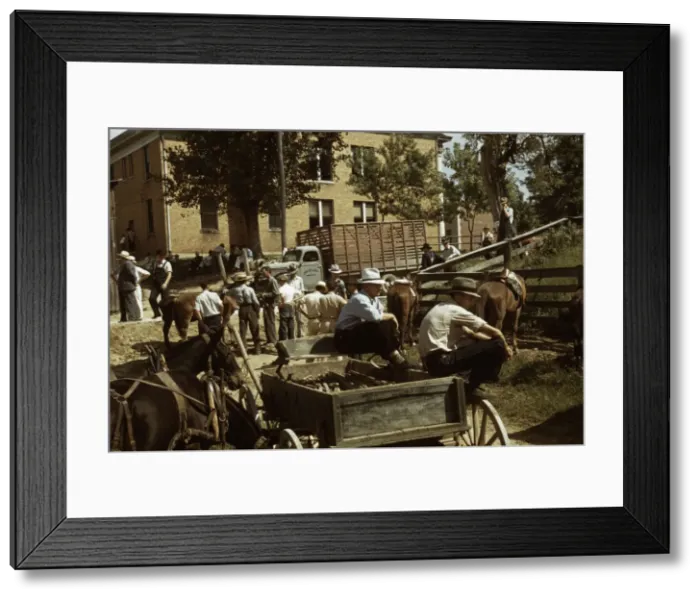 Framed Print : Mountaineers and farmers trading mules and horses on Jockey St. Campton, Wolfe County, Ky. 1940 Creator: Marion Post Wolcott Framed Print : Mountaineers and farmers trading mules and horses on Jockey St. Campton, Wolfe County, Ky. 1940 Creator: Marion Post Wolcott