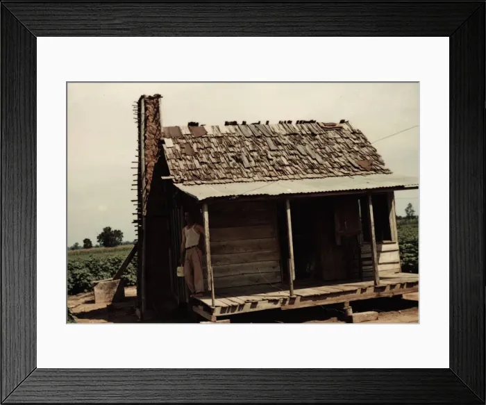 Framed Print : An old tenant house with a mud chimney and cotton growing up to its door... Melrose, La. 1940. Creator: Marion Post Wolcott Framed Print : An old tenant house with a mud chimney and cotton growing up to its door... Melrose, La. 1940. Creator: Marion Post Wolcott