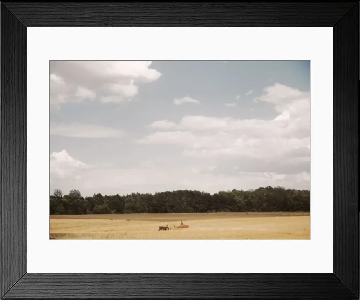 Framed Print : Field with farm equipment in distance, between 1941 and 1942. Creator: Unknown Framed Print : Field with farm equipment in distance, between 1941 and 1942. Creator: Unknown