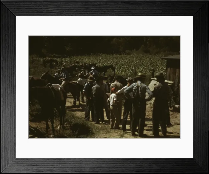 Framed Print : Mountaineers and farmers trading mules and horses on Jockey St. Campton, Wolfe County, Ky. 1940 Creator: Marion Post Wolcott Framed Print : Mountaineers and farmers trading mules and horses on Jockey St. Campton, Wolfe County, Ky. 1940 Creator: Marion Post Wolcott
