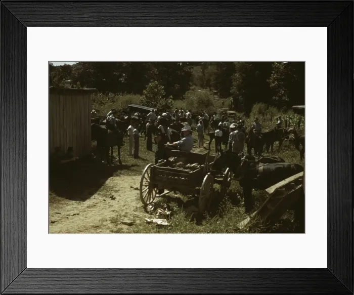 Framed Print : Mountaineers and farmers trading mules and horses on Jockey St. Campton, Wolfe County, Ky. 1940 Creator: Marion Post Wolcott Framed Print : Mountaineers and farmers trading mules and horses on Jockey St. Campton, Wolfe County, Ky. 1940 Creator: Marion Post Wolcott