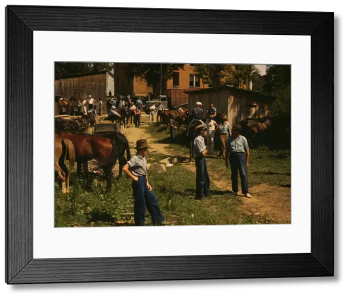 Framed Print : Mountaineers and farmers trading mules and horses on Jockey St. Campton, Wolfe County, Ky. 1940 Creator: Marion Post Wolcott Framed Print : Mountaineers and farmers trading mules and horses on Jockey St. Campton, Wolfe County, Ky. 1940 Creator: Marion Post Wolcott