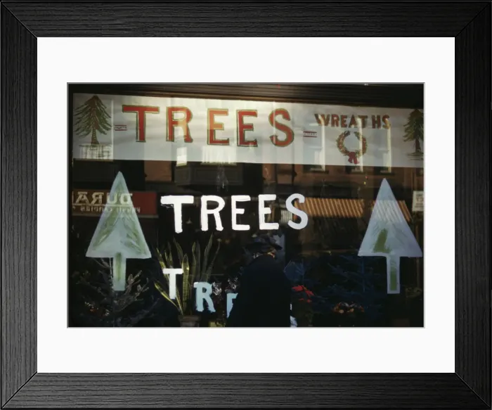 Framed Print : Christmas trees and wreaths in store window display, between 1941 and 1942. Creator: Unknown Framed Print : Christmas trees and wreaths in store window display, between 1941 and 1942. Creator: Unknown