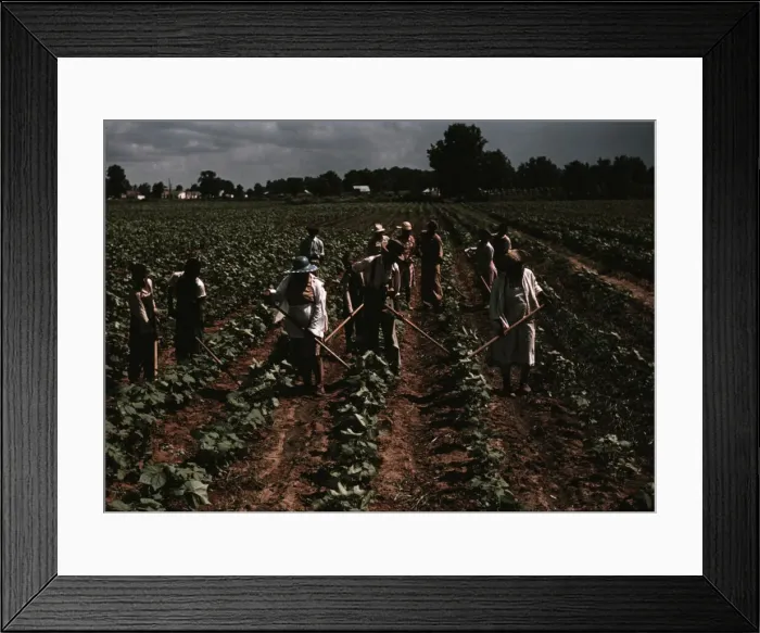 Framed Print : Bayou Bourbeau plantation operated by Bayou Bourbeau Farmstead Assoc... Natchitoches, La. 1940. Creator: Marion Post Wolcott Framed Print : Bayou Bourbeau plantation operated by Bayou Bourbeau Farmstead Assoc... Natchitoches, La. 1940. Creator: Marion Post Wolcott