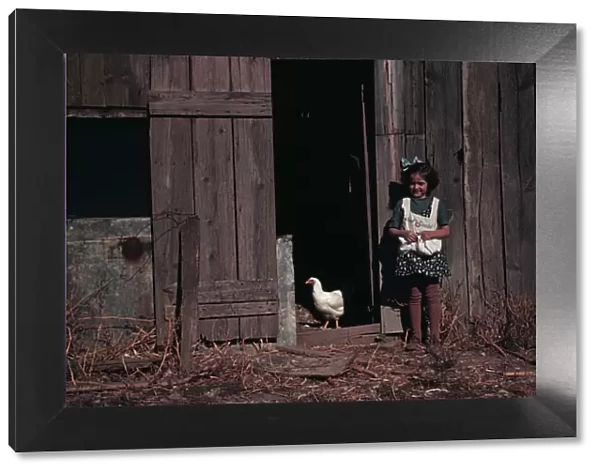 Girl next to barn with chicken, between 1941 and 1942. Creator: Unknown