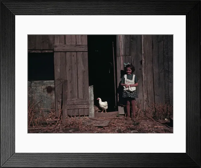 Framed Print : Girl next to barn with chicken, between 1941 and 1942. Creator: Unknown Framed Print : Girl next to barn with chicken, between 1941 and 1942. Creator: Unknown