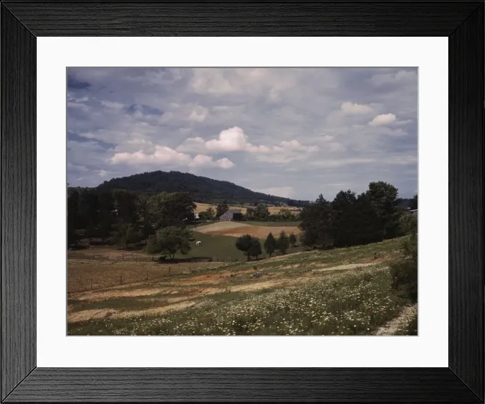 Framed Print : The countryside near the Tennessee Valley Authority dam site, Douglas Dam vicinity, Tenn. 1942. Creator: Alfred T Palmer Framed Print : The countryside near the Tennessee Valley Authority dam site, Douglas Dam vicinity, Tenn. 1942. Creator: Alfred T Palmer