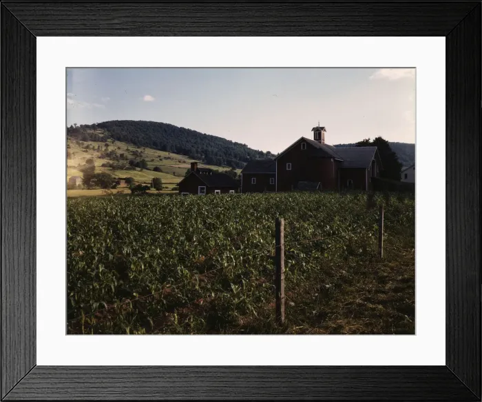 Framed Print : Farmland along the Delaware River, N. Y. 1943. Creator: John Collier Framed Print : Farmland along the Delaware River, N. Y. 1943. Creator: John Collier
