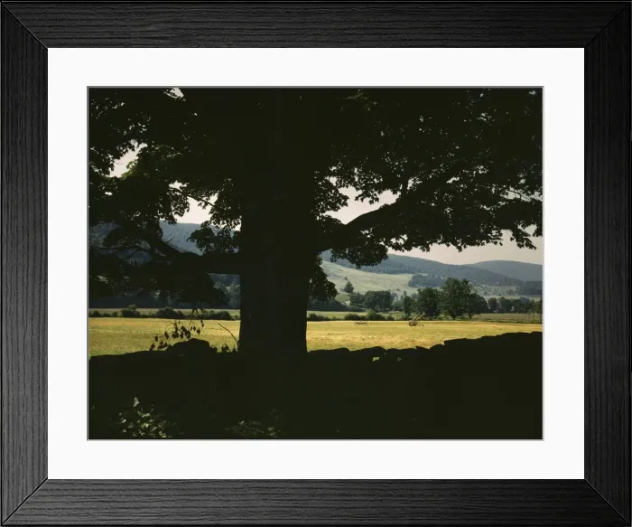 Framed Print : Farmland along the upper Delaware River in New York state, 1943. Creator: John Collier Framed Print : Farmland along the upper Delaware River in New York state, 1943. Creator: John Collier