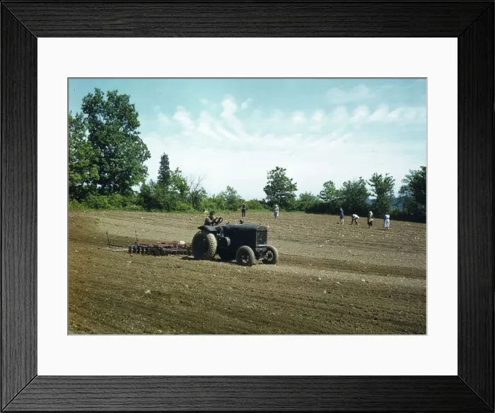 Framed Print : Farm owned by James Pompey, who 20 years ago came from Italy... Southington, Connecticut, 1942. Creator: Charles Fenno Jacobs Framed Print : Farm owned by James Pompey, who 20 years ago came from Italy... Southington, Connecticut, 1942. Creator: Charles Fenno Jacobs