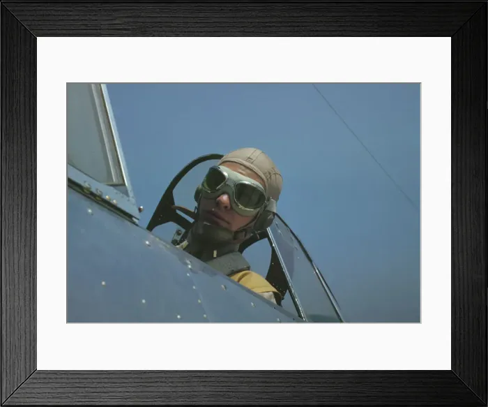 Framed Print : Marine lieutenant, glider pilot in training, ready for... at Page Field, Parris Island, S.C. 1942. Creator: Alfred T Palmer Framed Print : Marine lieutenant, glider pilot in training, ready for... at Page Field, Parris Island, S.C. 1942. Creator: Alfred T Palmer