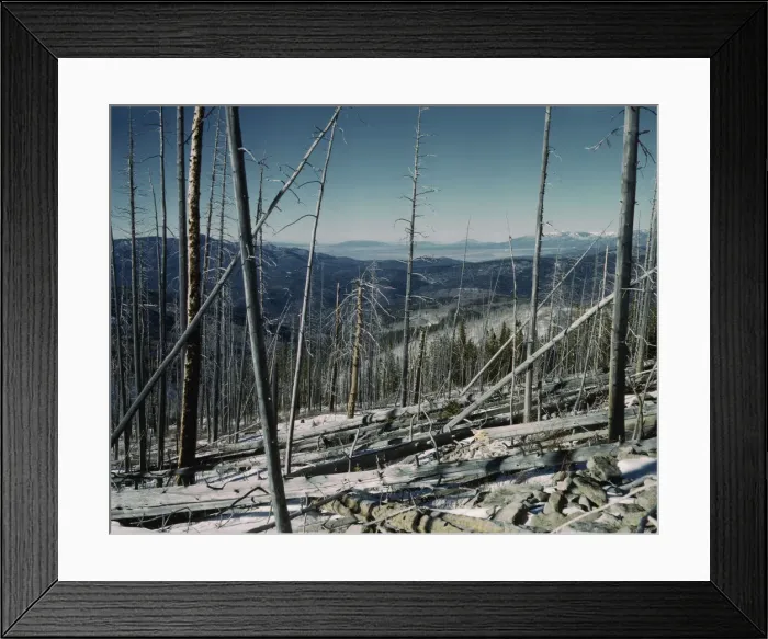Framed Print : Sangre de Cristo Mountains, looking north into Colorado, 1943. Creator: John Collier Framed Print : Sangre de Cristo Mountains, looking north into Colorado, 1943. Creator: John Collier