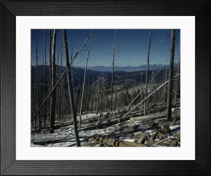 Framed Print : Sangre de Cristo Mountain, New Mexico, 1943. Creator: John Collier Framed Print : Sangre de Cristo Mountain, New Mexico, 1943. Creator: John Collier