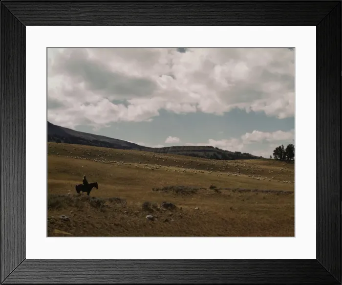 Framed Print : Herder with his flock of sheep on the Gravelly Range, Madison County, Montana, 1942. Creator: Russell Lee