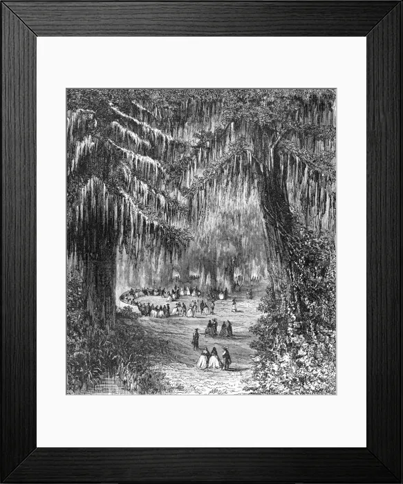Framed Print : Cypress Gardens of Chapultepec; A Ride Round the Valley of Mexico, 1875. Creator: Unknown Framed Print : Cypress Gardens of Chapultepec; A Ride Round the Valley of Mexico, 1875. Creator: Unknown