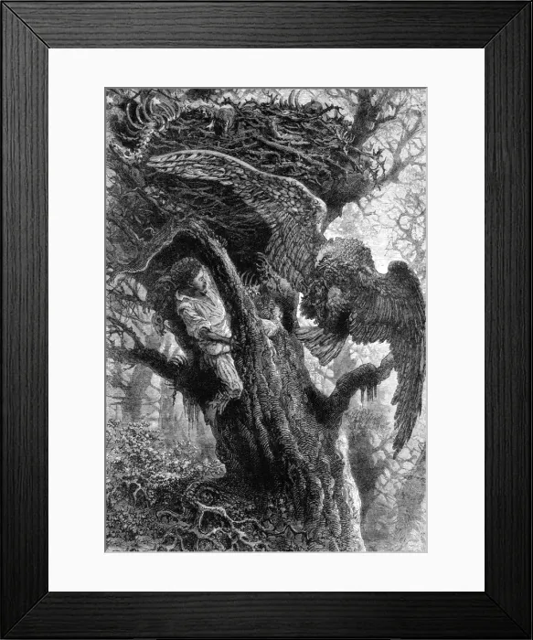 Framed Print : Dangerous Bird Nesting; A Flying Visit to Florida, 1875. Creator: Thomas Mayne Reid Framed Print : Dangerous Bird Nesting; A Flying Visit to Florida, 1875. Creator: Thomas Mayne Reid
