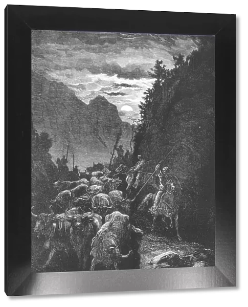 Bulls for the Fight;An Autumn Tour in Andalusia, 1875. Creator: Gustave Doré