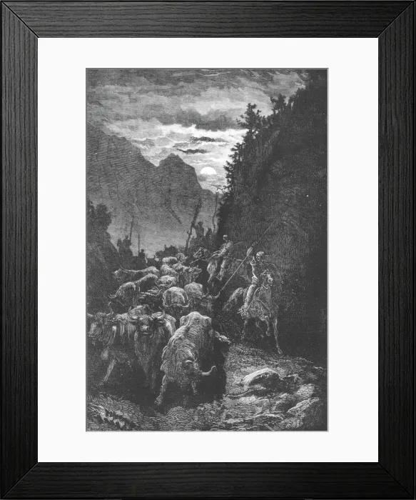 Framed Print : Bulls for the Fight;An Autumn Tour in Andalusia, 1875. Creator: Gustave Doré Framed Print : Bulls for the Fight;An Autumn Tour in Andalusia, 1875. Creator: Gustave Doré