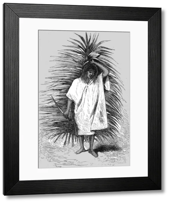 Framed Print : From the Tierra Caliente. ; A Ride Round the Valley of Mexico, 1875. Creator: Unknown