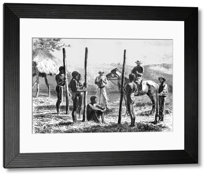 Framed Print : New Caledonians constructing a house; Some Account of New Caledonia, 1875. Creator: Unknown Framed Print : New Caledonians constructing a house; Some Account of New Caledonia, 1875. Creator: Unknown
