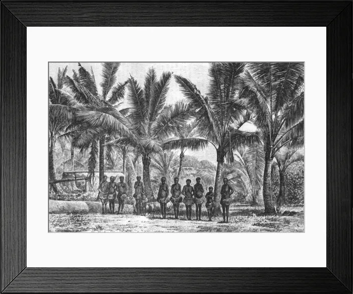 Framed Print : Fishing -Village, in grove of Coconut Trees; Some Account of New Caledonia, 1875. Creator: Unknown Framed Print : Fishing -Village, in grove of Coconut Trees; Some Account of New Caledonia, 1875. Creator: Unknown