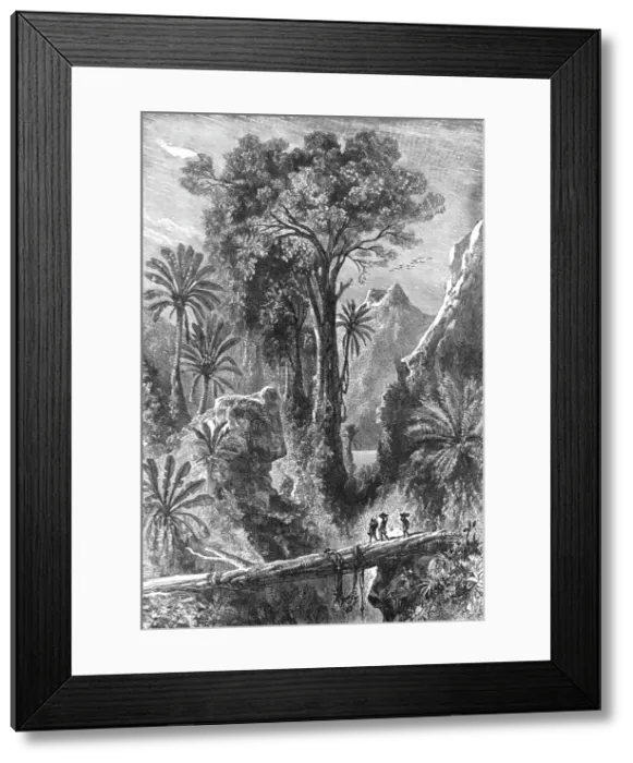 Framed Print : On the Road to Tananarivo; Recent Explorations in Madagascar, 1875. Creator: Alfred Grandidier Framed Print : On the Road to Tananarivo; Recent Explorations in Madagascar, 1875. Creator: Alfred Grandidier