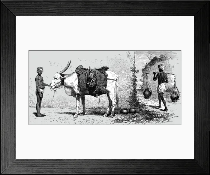 Framed Print : Baggage-animal, India; Black Bear shooting in the Himalayas, 1875. Creator: G. Beste Framed Print : Baggage-animal, India; Black Bear shooting in the Himalayas, 1875. Creator: G. Beste