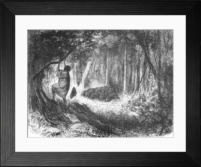 Framed Print : An Aboriginal in Danger; An Ascent of the Cofre de Perote, Mexico, 1875. Creator: Unknown Framed Print : An Aboriginal in Danger; An Ascent of the Cofre de Perote, Mexico, 1875. Creator: Unknown