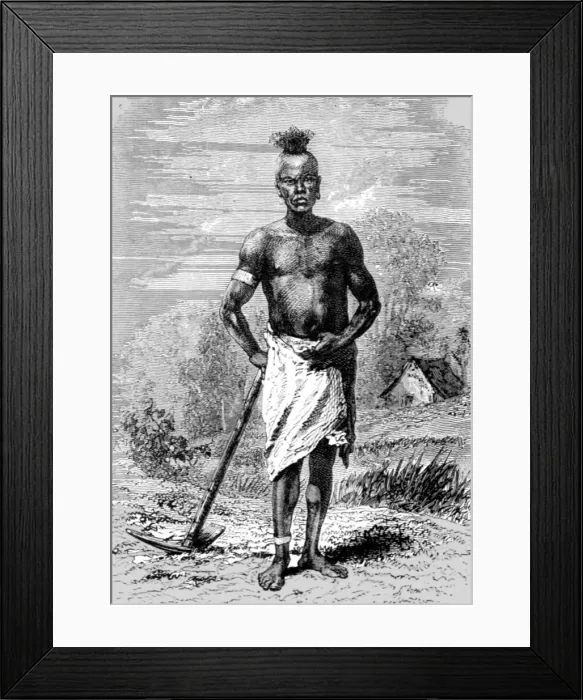 Framed Print : Mahe Labourer; An Excursion in Dahomey, 1871. Creator: J. Alfred Skertchly Framed Print : Mahe Labourer; An Excursion in Dahomey, 1871. Creator: J. Alfred Skertchly