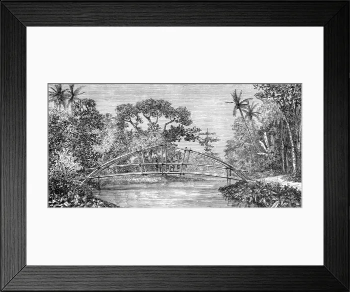 Framed Print : River Scene, Borneo; A Visit to Borneo, 1875. Creator: A. M. Cameron Framed Print : River Scene, Borneo; A Visit to Borneo, 1875. Creator: A. M. Cameron