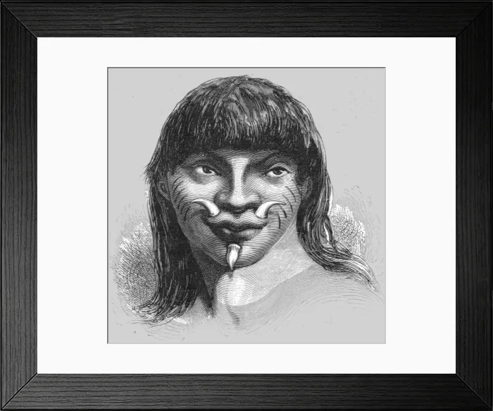 Framed Print : Mura Indian, with Lip Ornaments; A Trip up the Trombetas, 1875. Creator: Unknown Framed Print : Mura Indian, with Lip Ornaments; A Trip up the Trombetas, 1875. Creator: Unknown