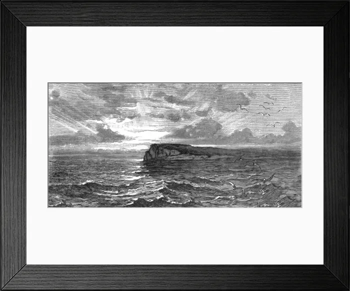 Framed Print : Amelia Island, Florida; A Flying Visit to Florida, 1875. Creator: Thomas Mayne Reid Framed Print : Amelia Island, Florida; A Flying Visit to Florida, 1875. Creator: Thomas Mayne Reid