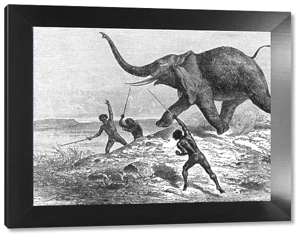 Collecting Ivory; Life in a South African Colony, 1875. Creator: Unknown