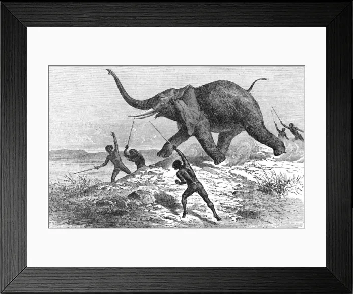 Framed Print : Collecting Ivory; Life in a South African Colony, 1875. Creator: Unknown Framed Print : Collecting Ivory; Life in a South African Colony, 1875. Creator: Unknown