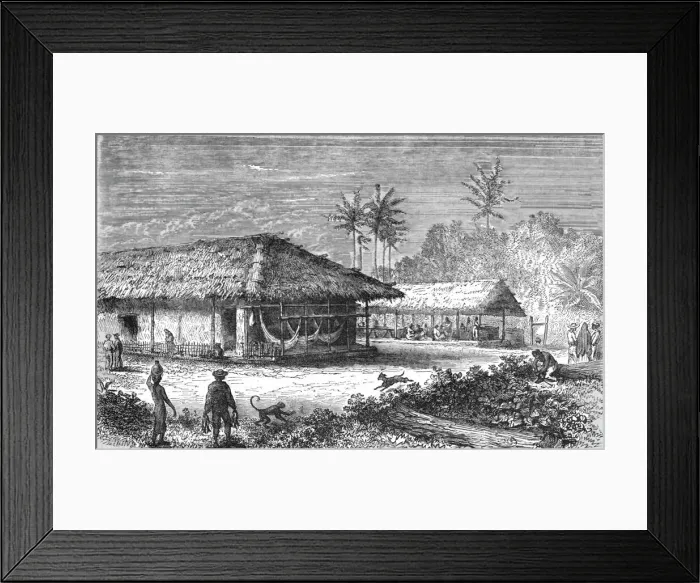 Framed Print : Farm in Brazil; Rio De Janeiro and the Organ Mountains, 1875. Creator: Thomas Woodbine Hinchliff Framed Print : Farm in Brazil; Rio De Janeiro and the Organ Mountains, 1875. Creator: Thomas Woodbine Hinchliff