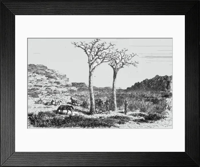 Framed Print : Returning from a Trading Trip; Life in a South African Colony, 1875. Creator: Unknown Framed Print : Returning from a Trading Trip; Life in a South African Colony, 1875. Creator: Unknown