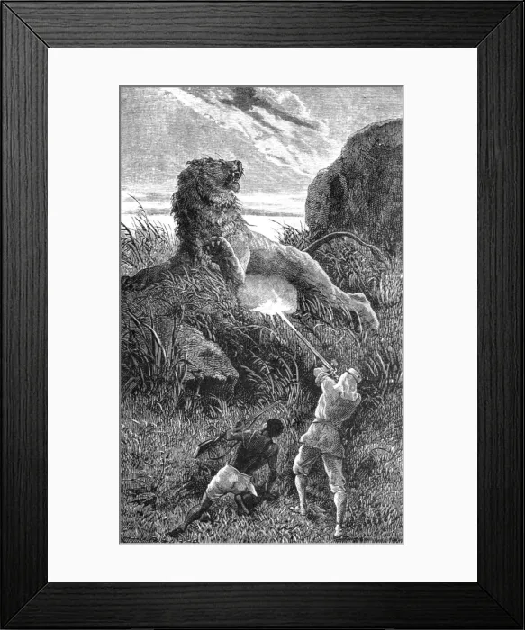 Framed Print : Shooting a Lion; Life in a South African Colony, 1875. Creator: Unknown Framed Print : Shooting a Lion; Life in a South African Colony, 1875. Creator: Unknown