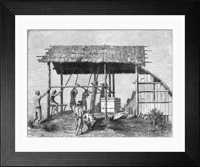 Framed Print : Dyaks Building a House; A Visit to Borneo, 1875. Creator: A. M. Cameron Framed Print : Dyaks Building a House; A Visit to Borneo, 1875. Creator: A. M. Cameron