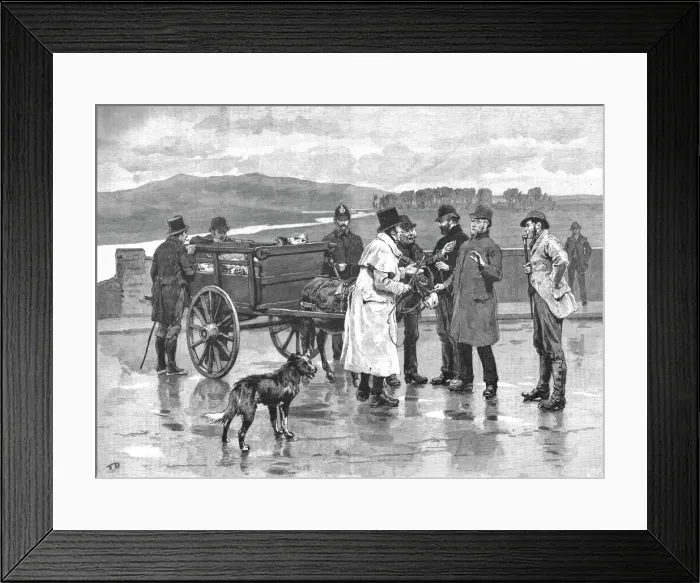 Framed Print : Taking Toll in Ireland--A Scene at an Irish Pig Fair, 1890. Creator: Unknown Framed Print : Taking Toll in Ireland--A Scene at an Irish Pig Fair, 1890. Creator: Unknown